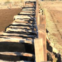 Peach Valley Ranch Hawkins images 3