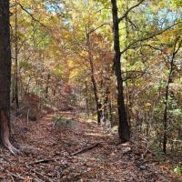Boone County 65 images 3