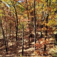 Boone County 65 images 4