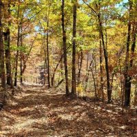 Boone County 65 images 5