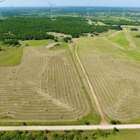 Woodard Farms
