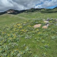 N. Fork Shell Creek Ranch images 2