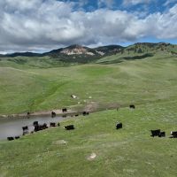 N. Fork Shell Creek Ranch images 3