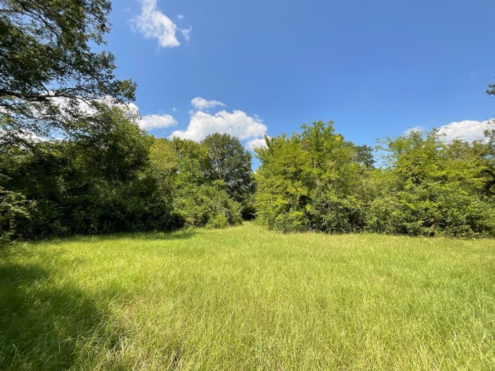 Rural 18 Acres in NW Nacogdoches County featured image