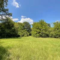 Rural 18 Acres in NW Nacogdoches County
