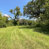 Rural 18 Acres in NW Nacogdoches County images 2